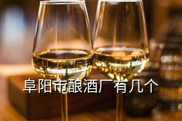 阜阳市酿酒厂有几个