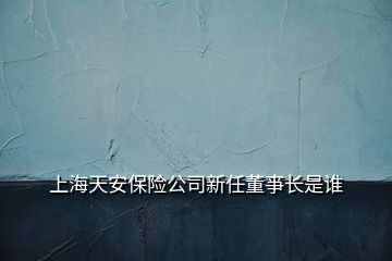 上海天安保险公司新任董亊长是谁