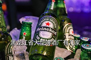 黑龙江省大型啤酒厂有几家