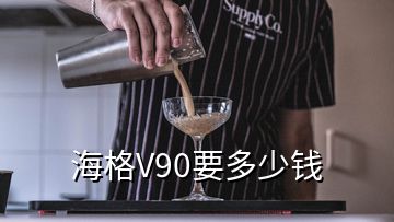 海格V90要多少钱