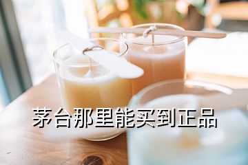 茅台那里能买到正品