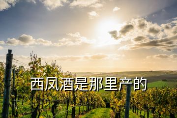 西凤酒是那里产的