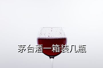 茅台酒一箱装几瓶