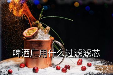 啤酒厂用什么过滤滤芯