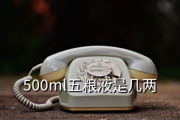 500ml五粮液是几两