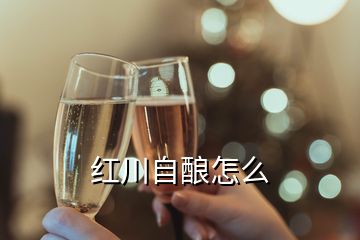 红川自酿怎么