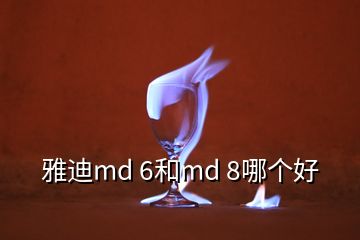 雅迪md 6和md 8哪个好