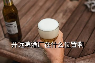 开远啤酒厂在什么位置啊