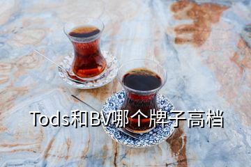 Tods和BV哪个牌子高档