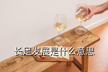 长足发展是什么意思