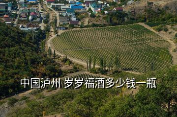 中国泸州 岁岁福酒多少钱一瓶