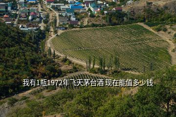 我有1瓶1972年飞天茅台酒 现在能值多少钱