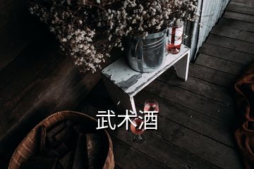 武术酒