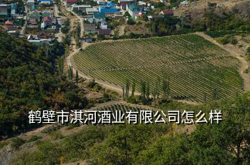 鹤壁市淇河酒业有限公司怎么样