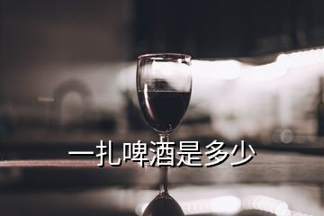 一扎啤酒是多少