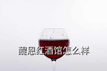 醍恩红酒馆怎么样