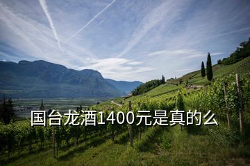 国台龙酒1400元是真的么