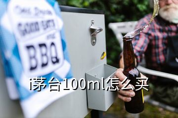 i茅台100ml怎么买