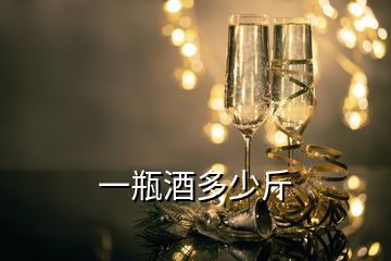 一瓶酒多少斤