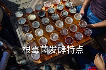 根霉菌发酵特点