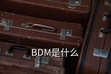 BDM是什么