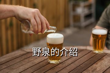 野泉的介绍