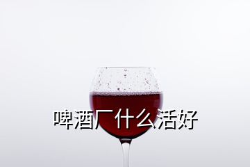 啤酒厂什么活好