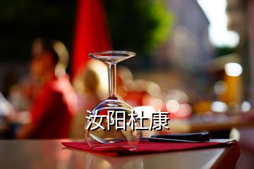 汝阳杜康