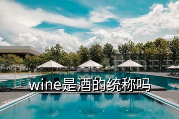 wine是酒的统称吗