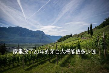 家里放了20年的茅台大概能值多少钱