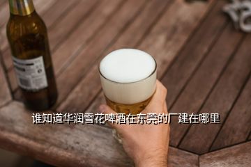 谁知道华润雪花啤酒在东莞的厂建在哪里