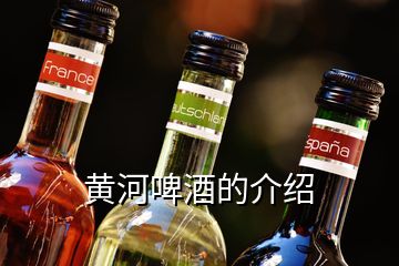 黄河啤酒的介绍