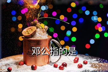 邓公指的是