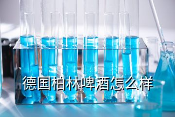 德国柏林啤酒怎么样