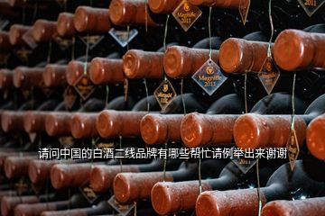 请问中国的白酒二线品牌有哪些帮忙请例举出来谢谢