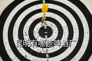 昆明有哪些啤酒厂