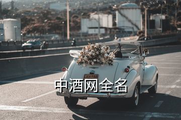 中酒网全名