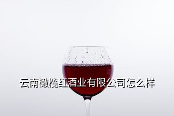 云南橄榄红酒业有限公司怎么样