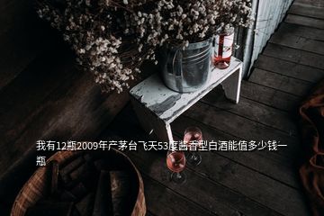 我有12瓶2009年产茅台飞天53度酱香型白酒能值多少钱一瓶