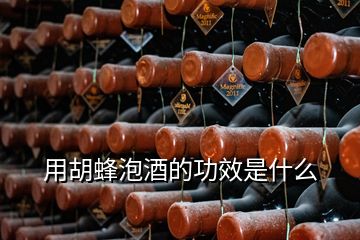 用胡蜂泡酒的功效是什么