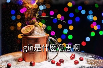 gin是什麽意思啊