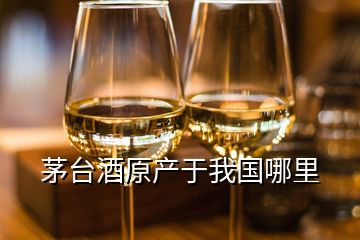 茅台酒原产于我国哪里