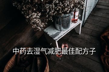 中药去湿气减肥最佳配方子