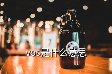 vos是什么意思