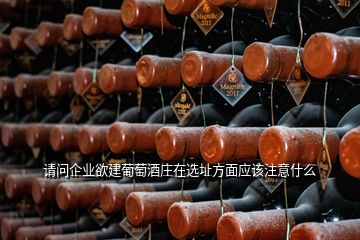 请问企业欲建葡萄酒庄在选址方面应该注意什么