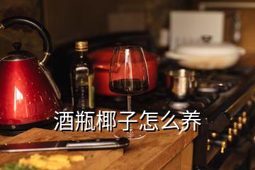 酒瓶椰子怎么养