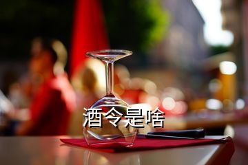 酒令是啥