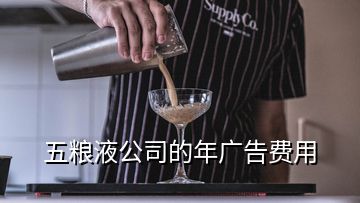 五粮液公司的年广告费用