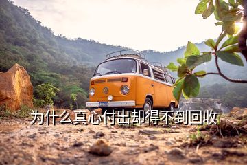 为什么真心付出却得不到回收