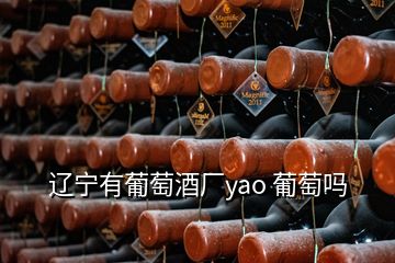 辽宁有葡萄酒厂yao 葡萄吗